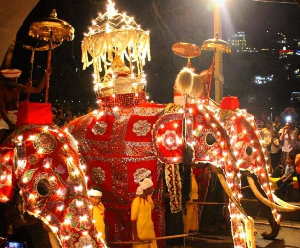 Police Deploy Enhanced Security at Kandy Esala Perahera, Warn Against Laser Pointers and Disruptive Behavior