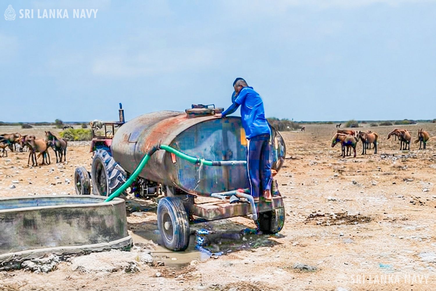 Sri Lanka Navy Launches Water Supply Initiative for Delft Island Ponies Amid Drought