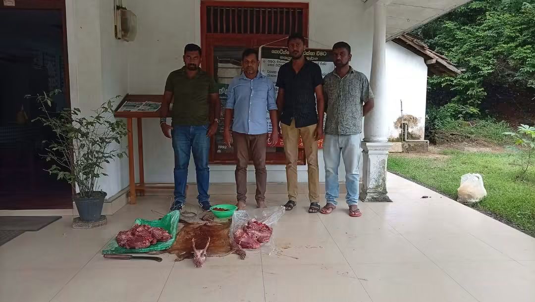 Two men arrested for illegal hunting and butchering protected deer in Aranayake