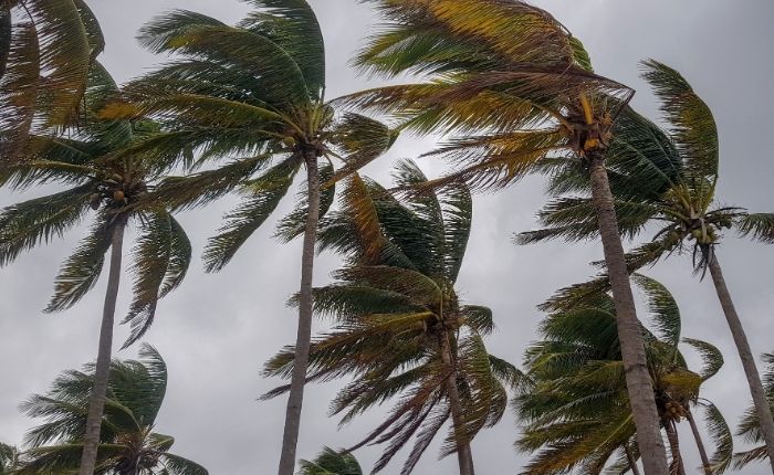 Amber Alert Issued for Strong Winds and Rough Seas Across Sri Lankan Coasts