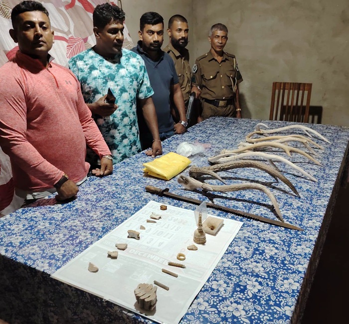 Two arrested in joint wildlife and STF operation targeting illegal animal parts trade