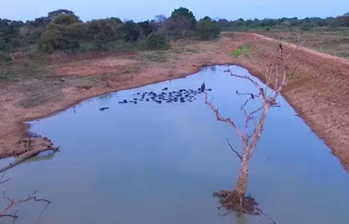 Sri Lanka's Reservoir Levels Fall to 36% as Dry Zone Faces Critical Water Crisis