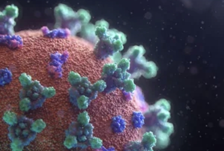 Stanford researchers use AI to create functional designer viruses
