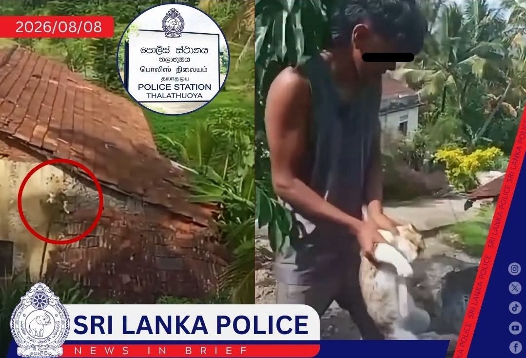 Two arrested following viral social media video showing cat abuse