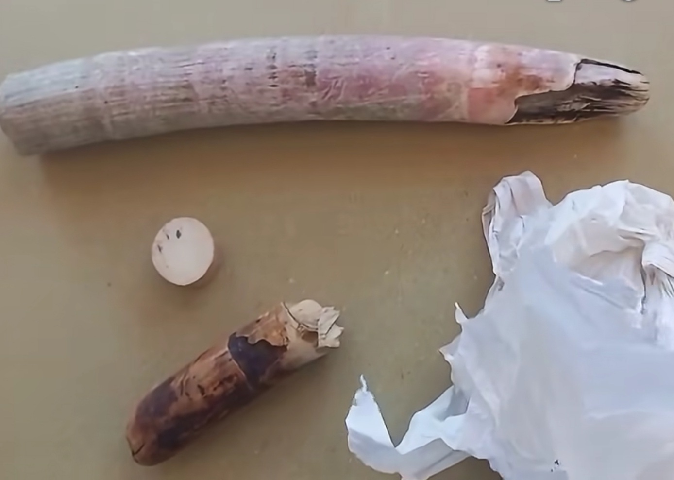 Suspect Arrested with Elephant Tusk Pieces Near Maduru Oya National Park