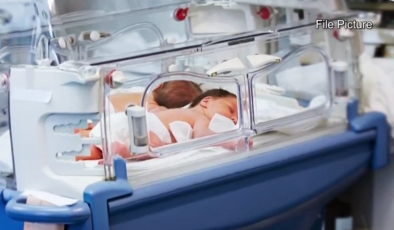 Queensland Court Approves Unusual Surrogacy Case Involving Biologically Unrelated Twins