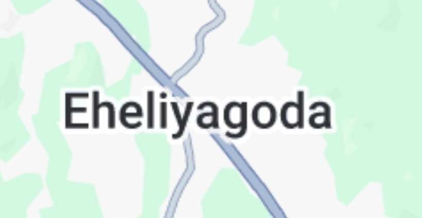 Eheliyagoda teenager dies following dispute over mobile phone recording