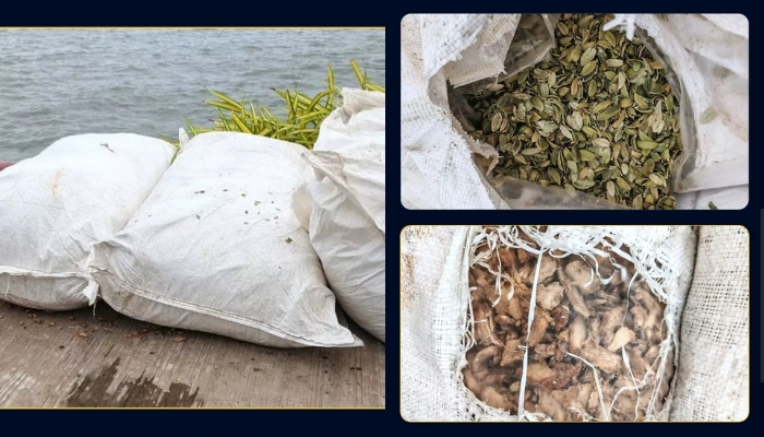 Sri Lanka Navy Intercepts 333kg of Smuggled Spices in Kalpitiya