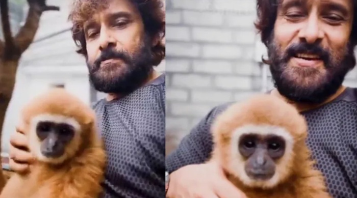 Wildlife Investigation Launched After Indian Actor Vikram Posts Video With Endangered Gibbon
