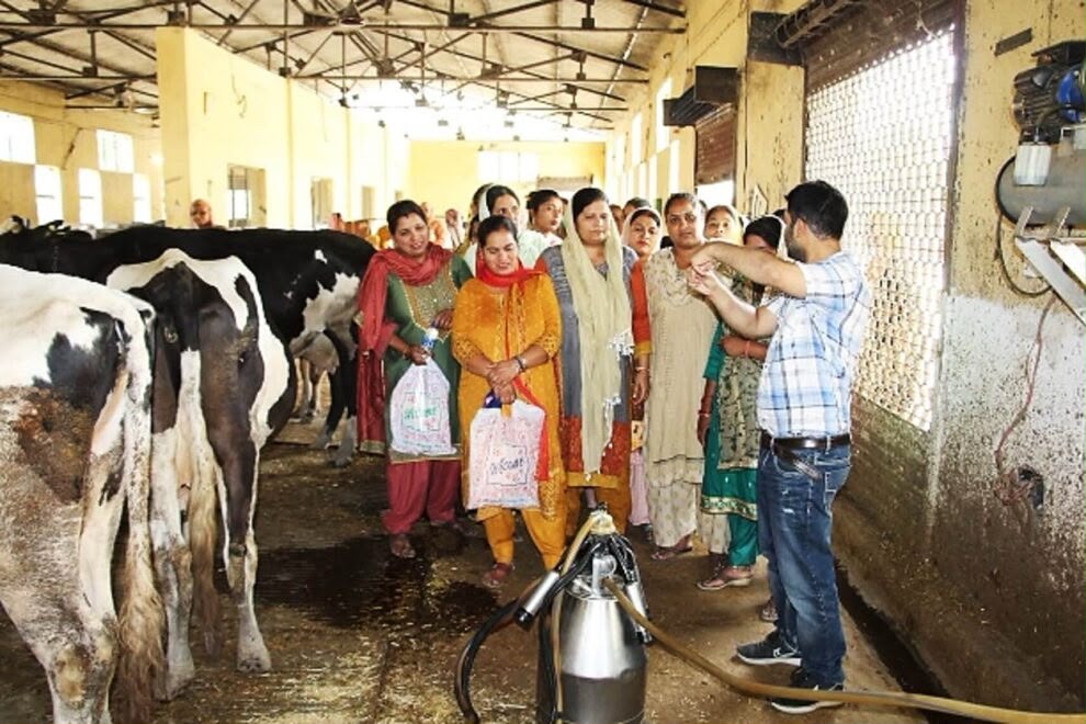 Sri Lanka Sends 19 Dairy Farmers to India for Specialised Training Programme
