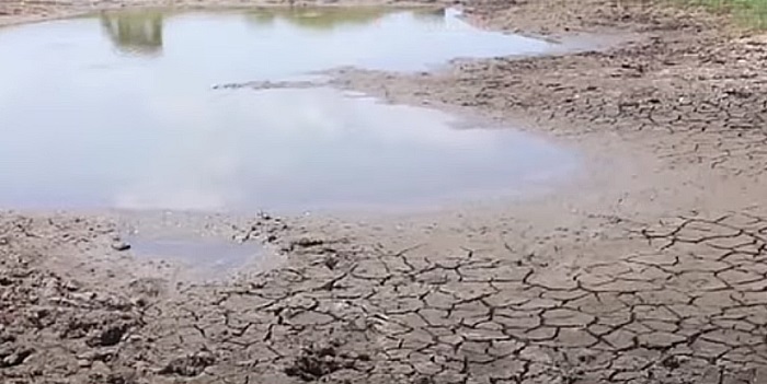 Severe drought grips central Sri Lanka as over 84,000 people face water shortages