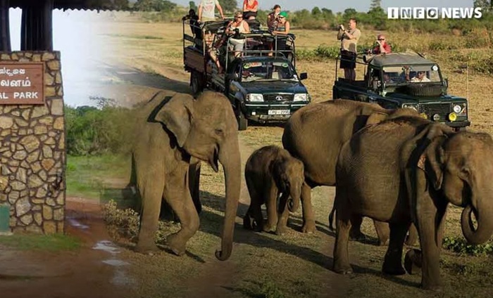 Yala National Park to undergo major development initiative to manage tourist numbers