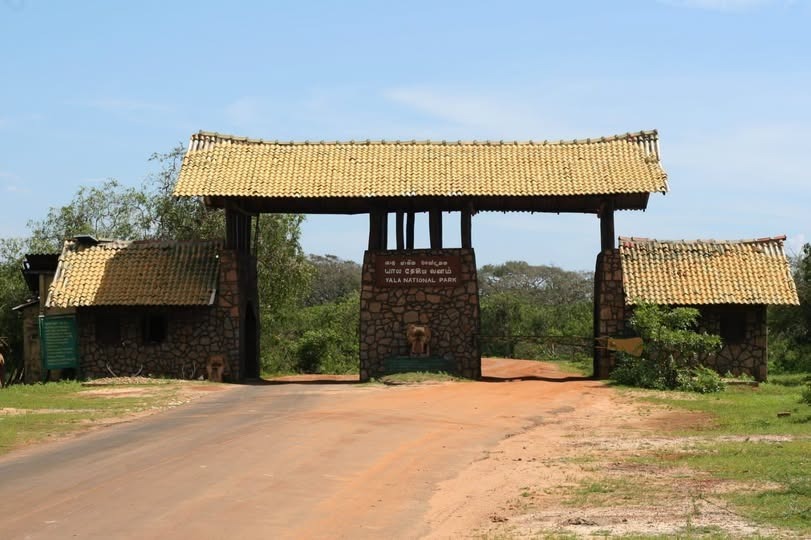 Yala National Park to Close Tourist Facilities During Drought-Related Shutdown